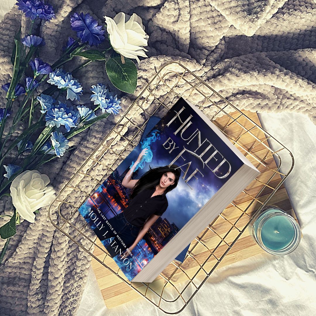 Hunted by Fae, Paperback
