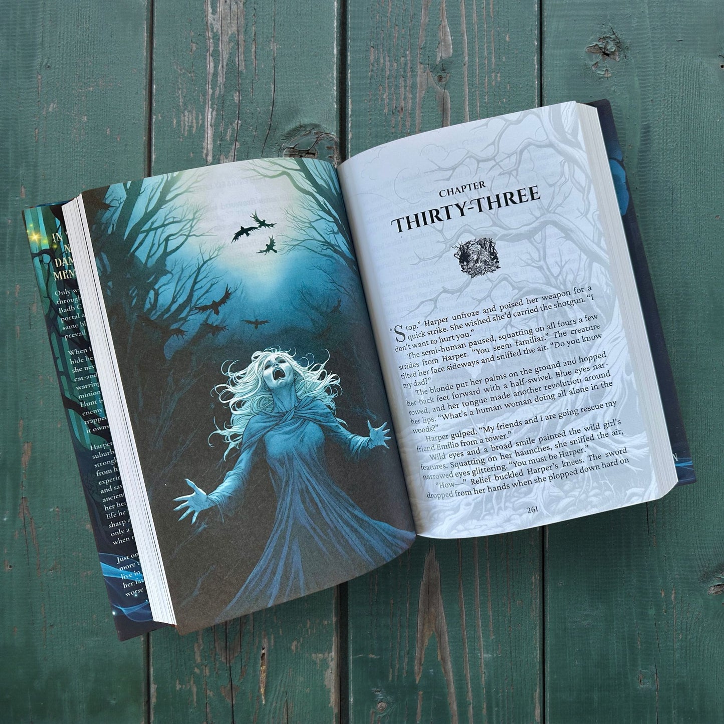 A photograph of the book showing an illustration of a screaming banshee and one of the chapter headings.  The Cursed Land,book 2 of the Celtic myth urban fantasy series The Last Battle of Moytura by Molly J Stanton